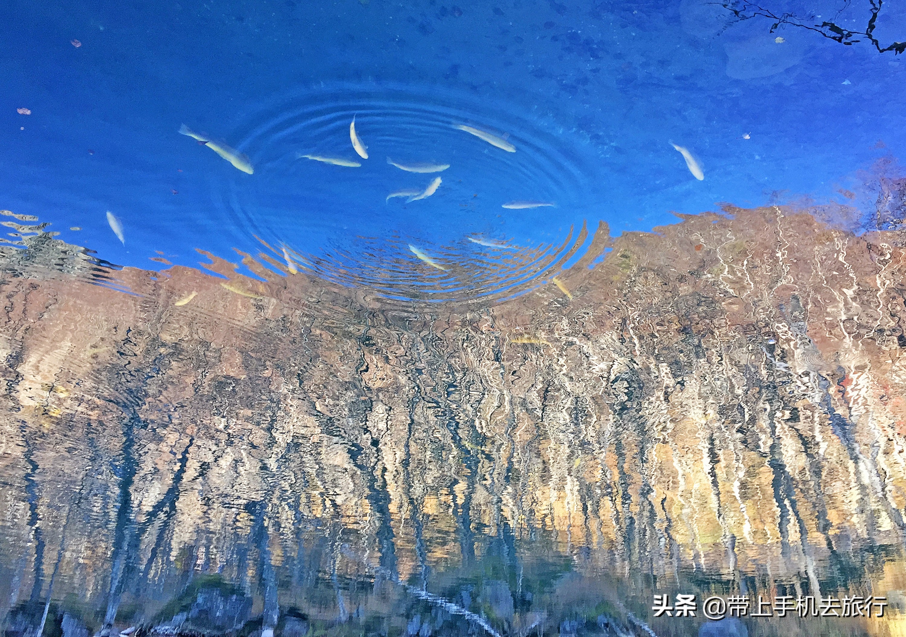 手机拍出震撼风景视频,手机拍出光芒四射的光影