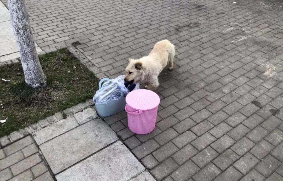 闉嬪瓙琚滃瓙琚埆浜哄伔,闉嬪瓙琚滃瓙琚伔