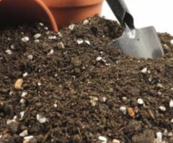 盆栽土结块的解决方法,土壤结块如何治理