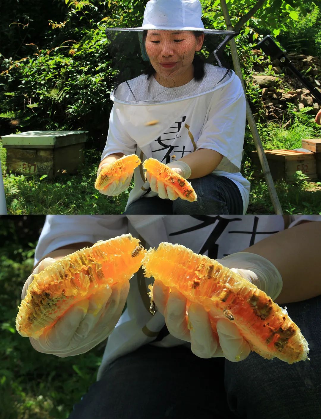 学会这3个小方法轻松买到真蜂蜜,一分钟带你如何辨别蜂蜜