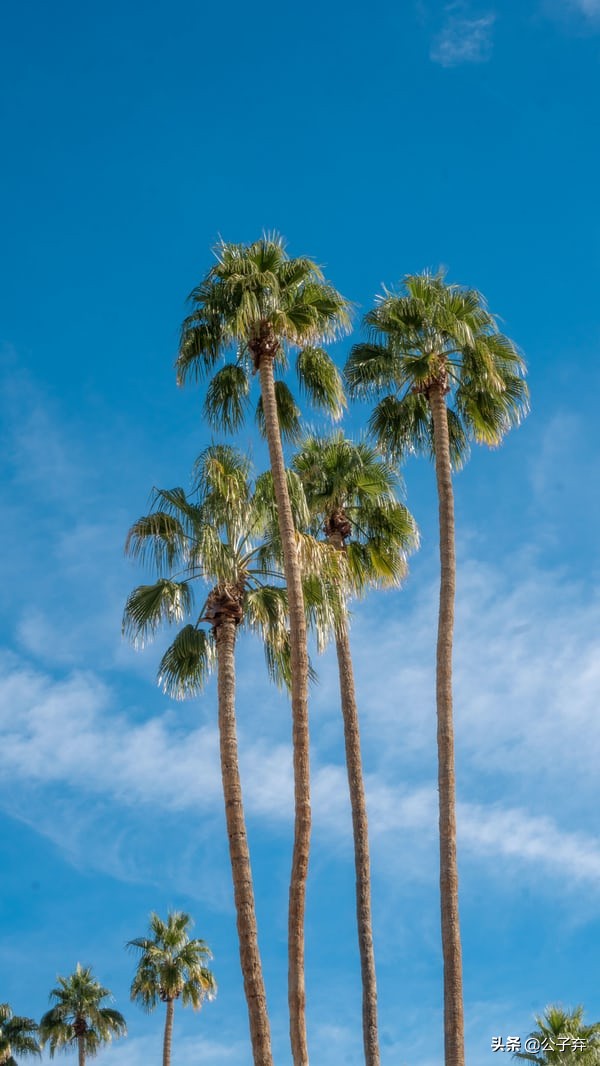 帕斯卡学园第二十七章,帕斯卡学园小说在线阅读