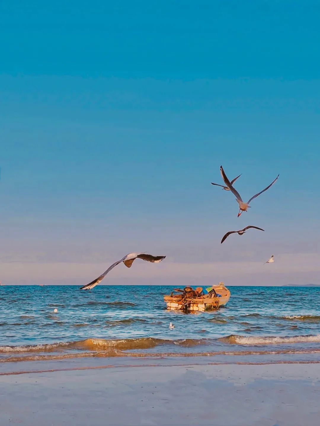 3天2夜游！它是被低估的海滨小城，藏着独属于11月的盛大美景|冬游齐鲁