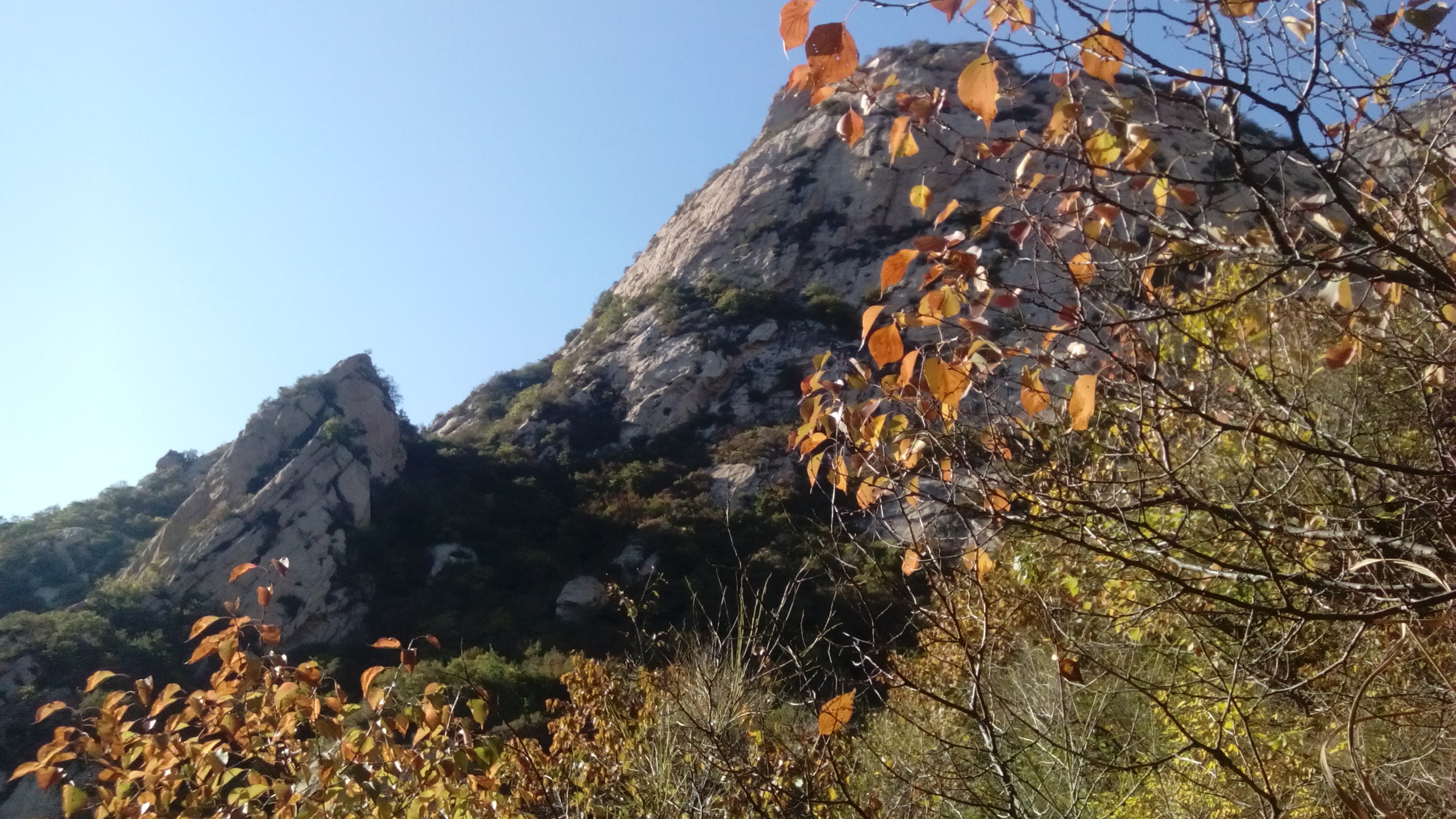 「散文」有石皆古的五女山，仿佛化蝶的一冢深爱，接纳着万物生灵