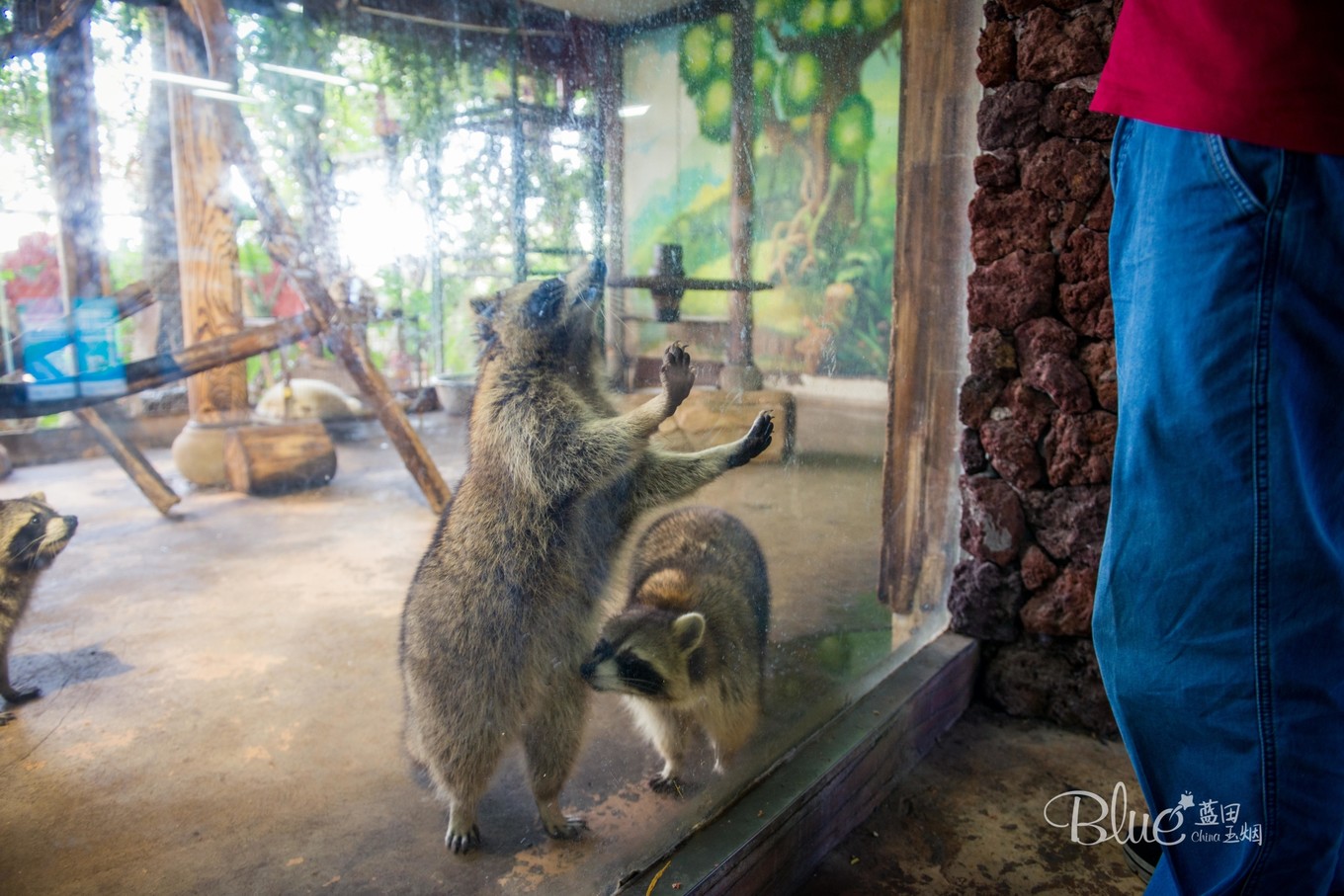 三亚千古情景区每天人流,三亚千古情每天都有表演吗