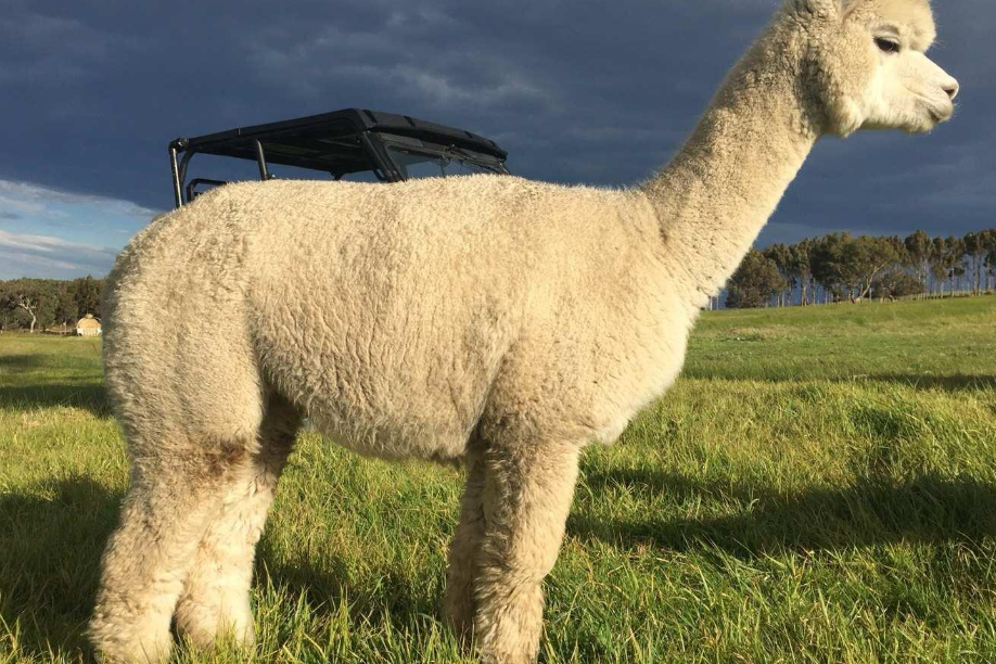 鎴愰兘缃戠孩浜插瓙鍐滃満,鍐滃灏忓涵闄㈠彉韬嚧瀵屽洯