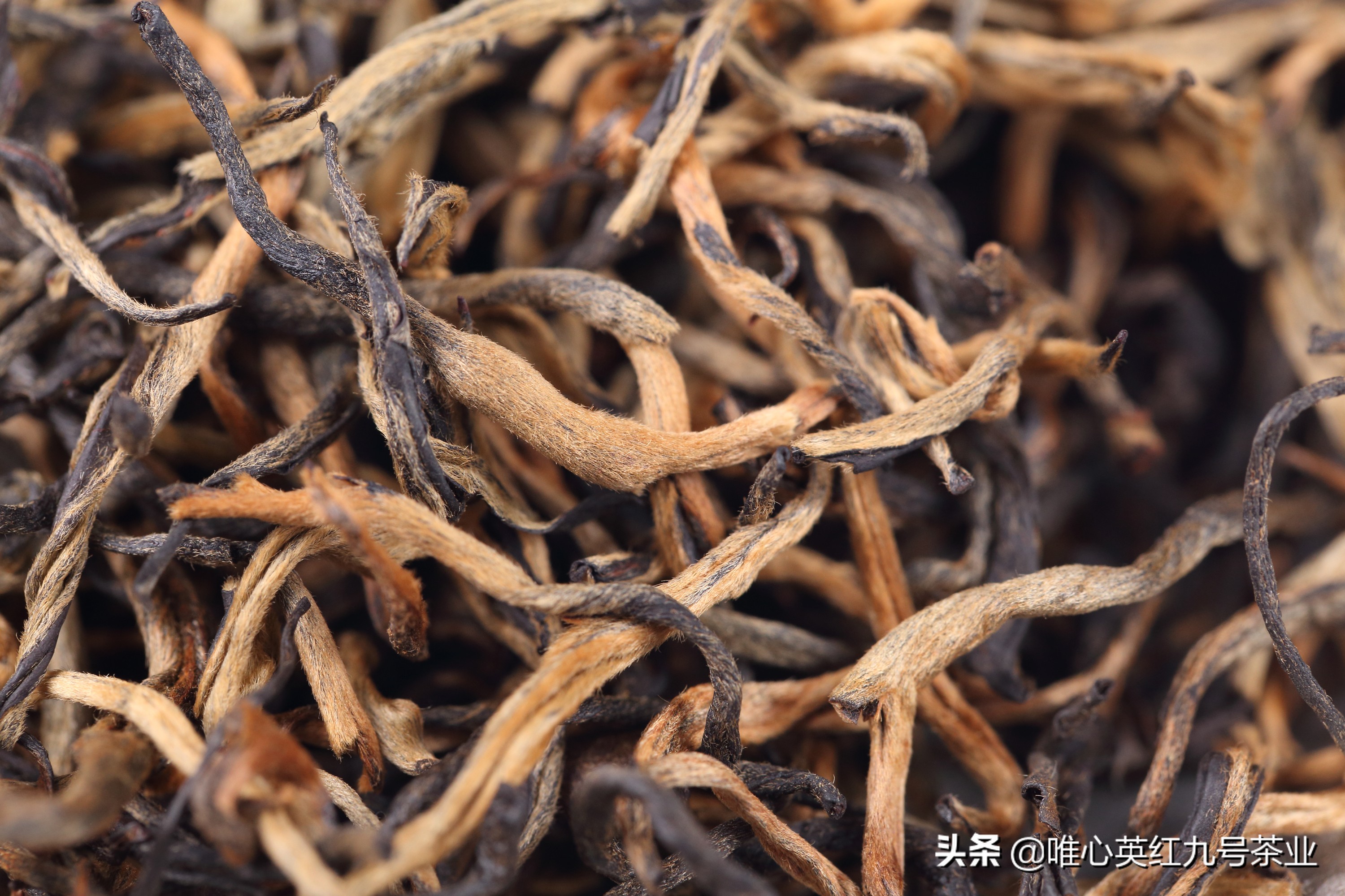 选择什么样的红茶最好,红茶怎么选择最好