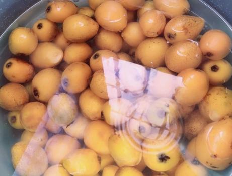 枇杷膏家庭自制法没有枇杷叶,枇杷膏家庭自制法去皮吗