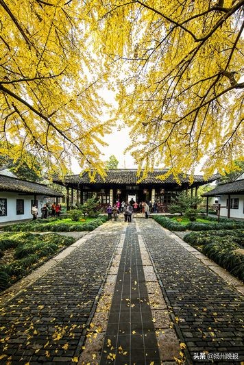 2018年冬天扬州赏花攻略,扬州11月秋景打卡地