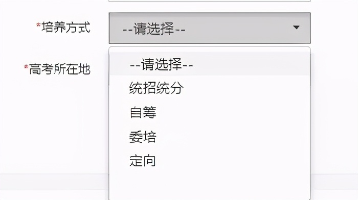国网网申简历填写可以修改吗,国网网申都有哪些内容