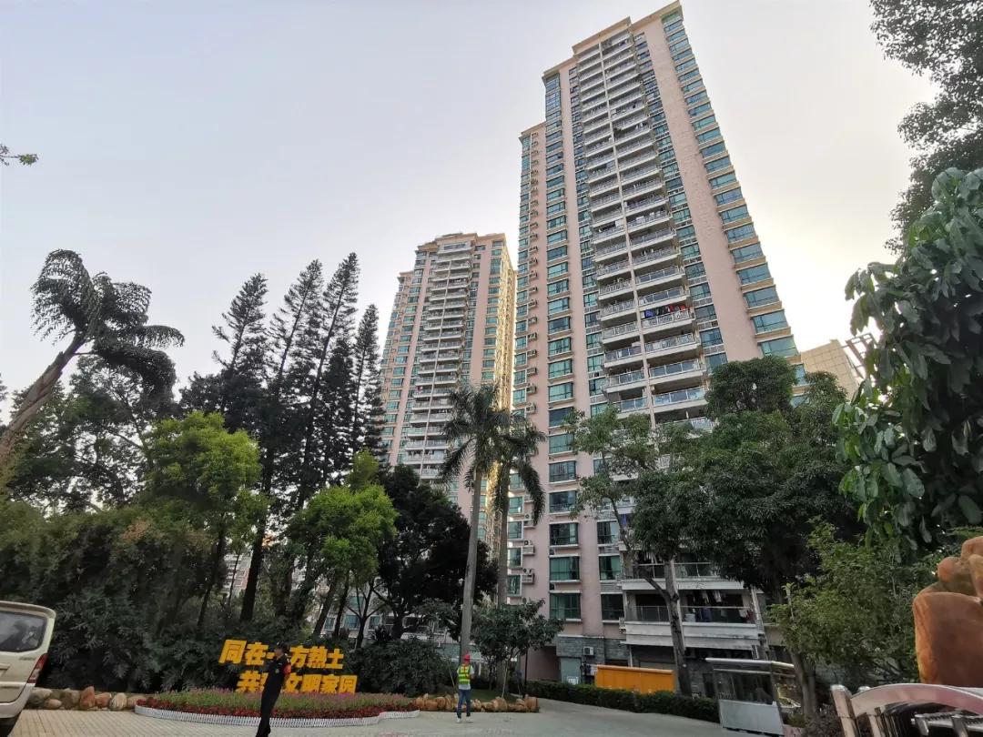 翠园中学东晓分校学区,翠园中学东晓校区学区划分图