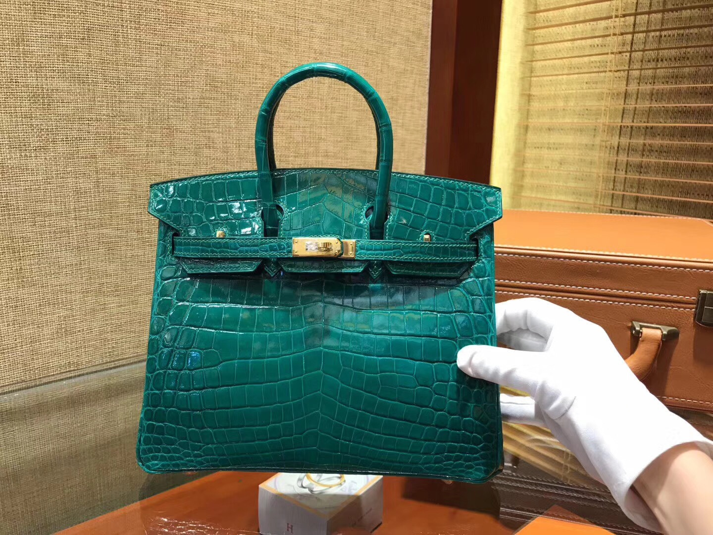 1亿只鳄鱼养殖场,做一个真正的鳄鱼养殖场