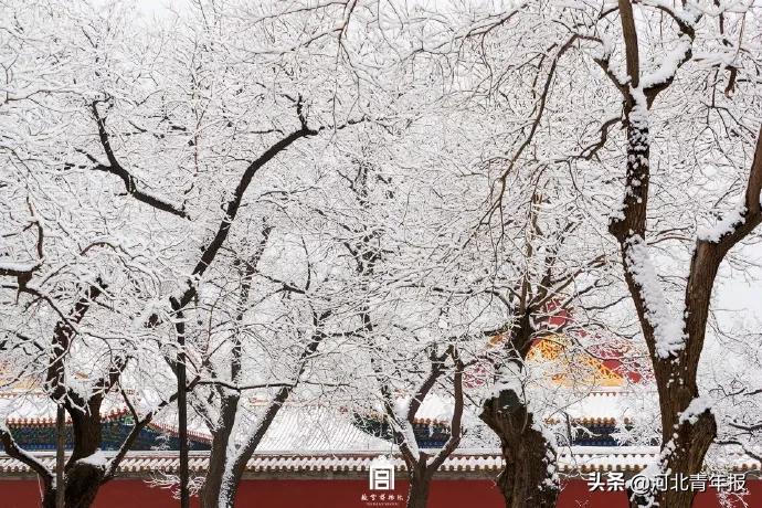 故宫官宣最新雪景，张张美得惊人！“新掌门”竟是来自敦煌的“扫地僧”