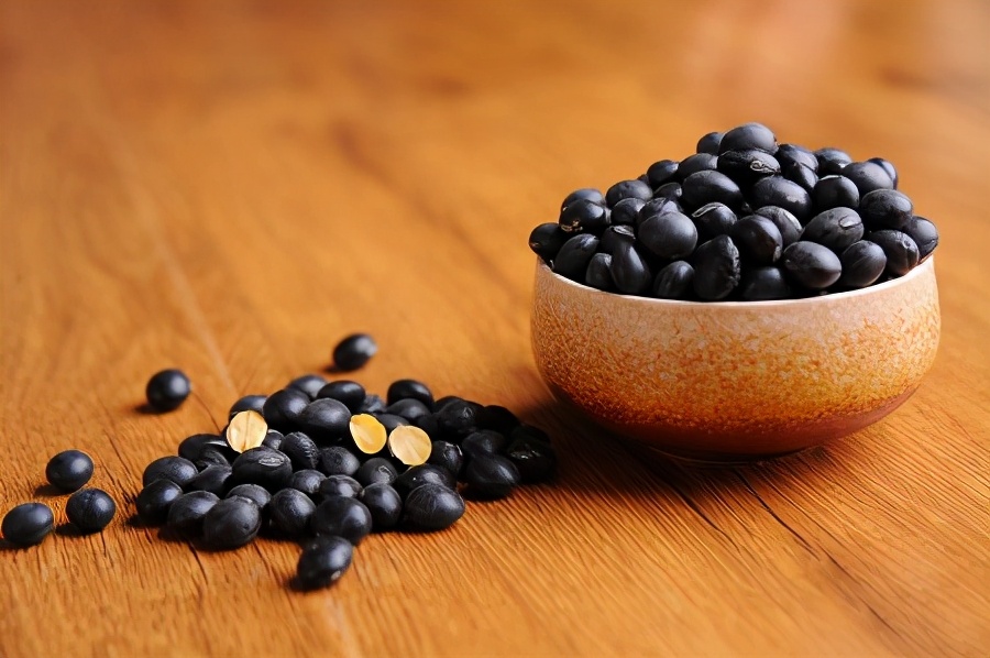 萨摩耶突然前腿瘸了,萨摩耶缺钙腿瘸