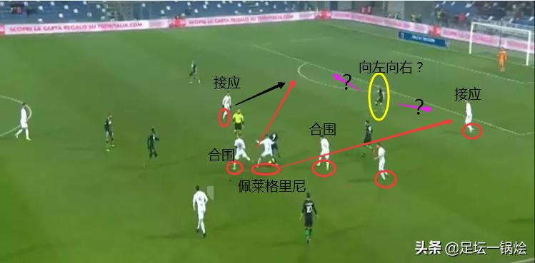 狼崽到狼王的蜕变,深度解析佩莱格里尼