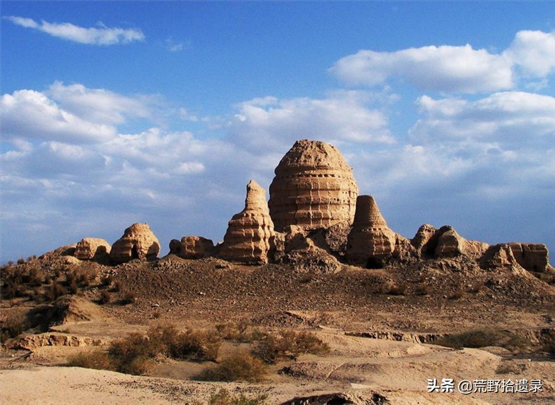 锁阳的寄生植物,荒漠寄生植物锁阳