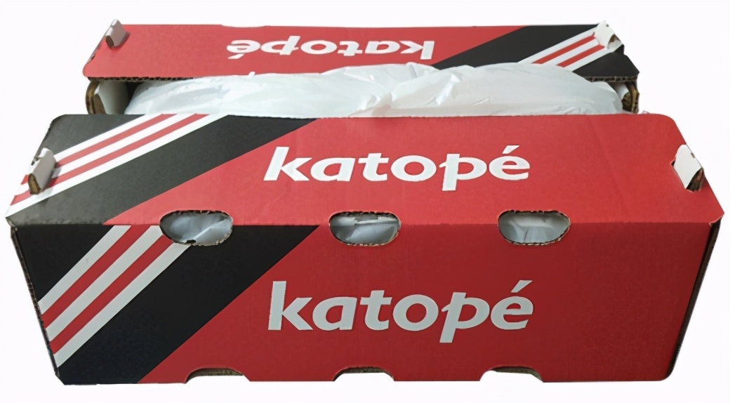 提子品种和介绍 (提子的品种都有哪些)