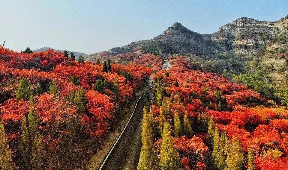 打造地方特色文旅项目,重磅打造的文旅项目
