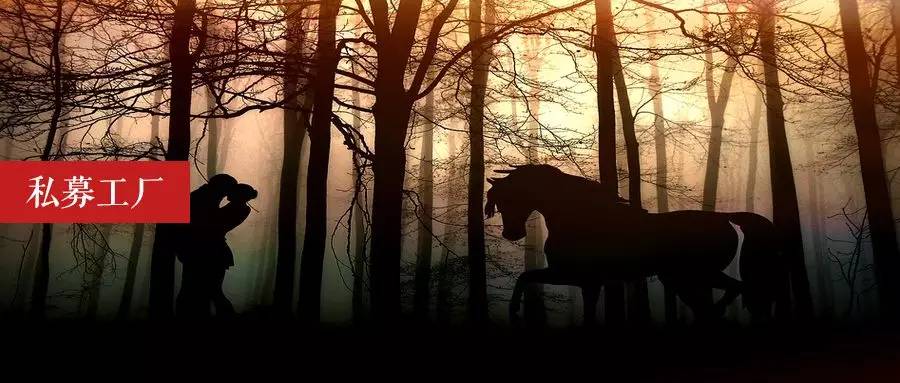 王思聪是干什么赚的那么多钱,王思聪之前做什么挣了20多亿