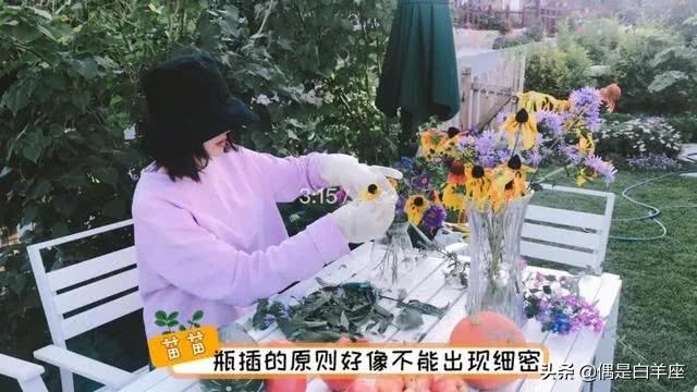 继张馨予之后，娱乐圈再出美贤妻，苗苗愣是把郊区别墅变世外花园