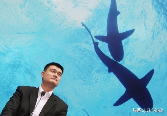 极限追捕猎杀最新消息,极限工作之捕杀鲨鱼