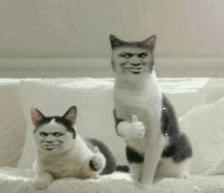 吃的再多都不容易发胖的食物,9种食物不能吃会发胖