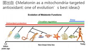 mt抗衰管理,mt免疫疗法