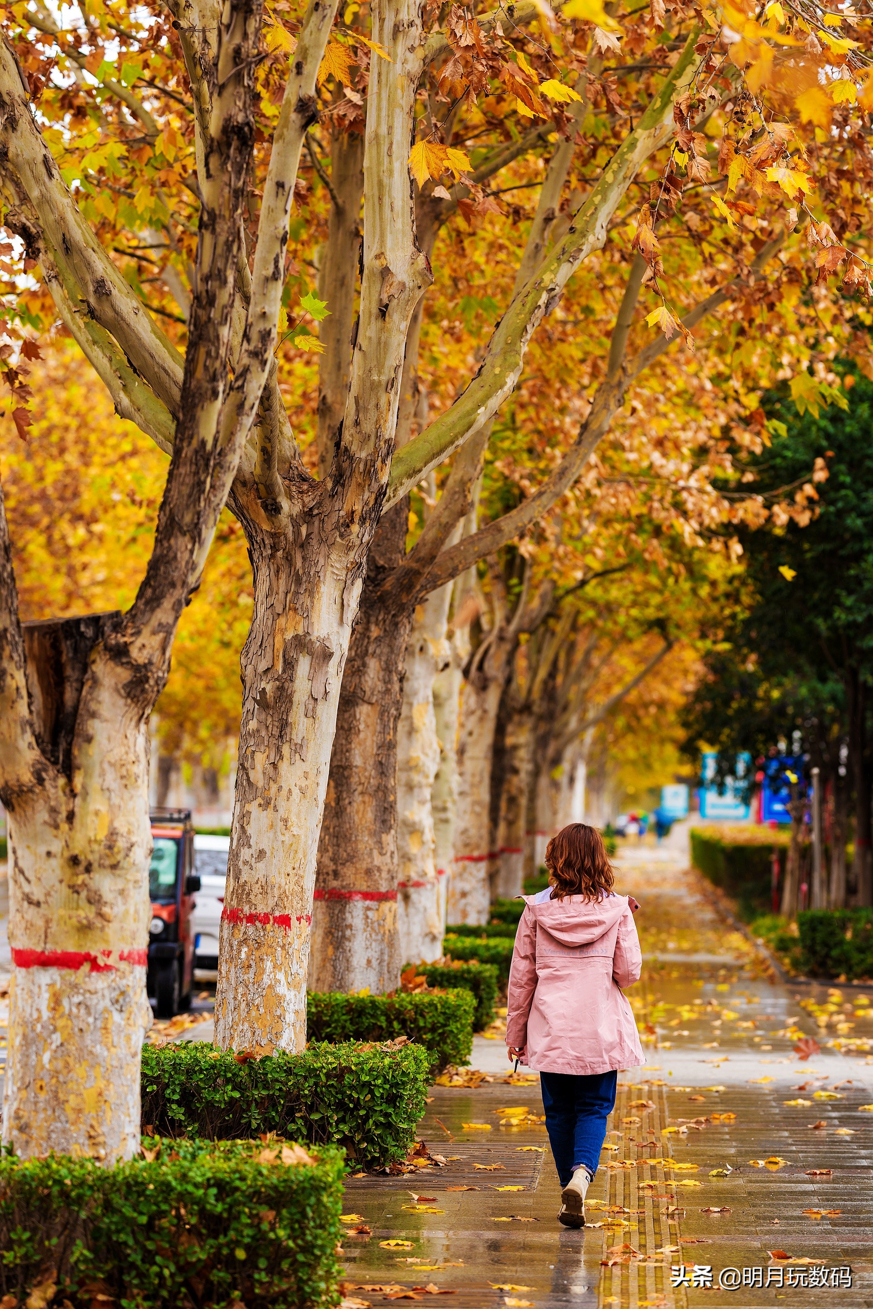冲锋衣又酷又飒,你不知道的冲锋衣时髦风尚