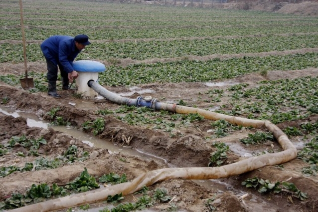 土地种植入股经营合作方案,土地流转种植致富项目