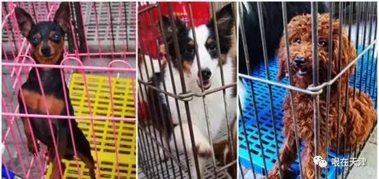 天津哏儿都的好去处,天津哏儿都