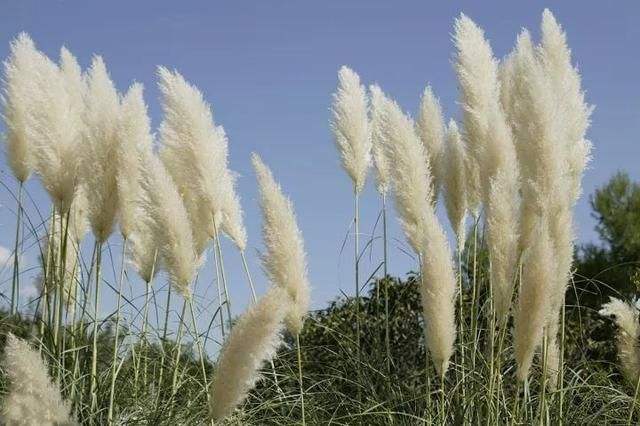 钓友公认十款最好渔具,让无数钓友梦寐以求的10款渔具