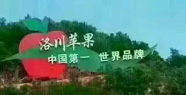 洛川苹果现状如何,洛川苹果农药