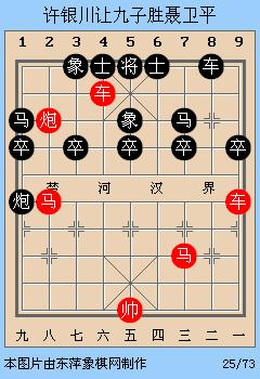 棋圣聂卫平点评象棋,棋圣聂卫平的故事