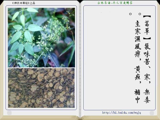 本草纲目中药讲解视频,本草纲目中药图谱及药理讲解