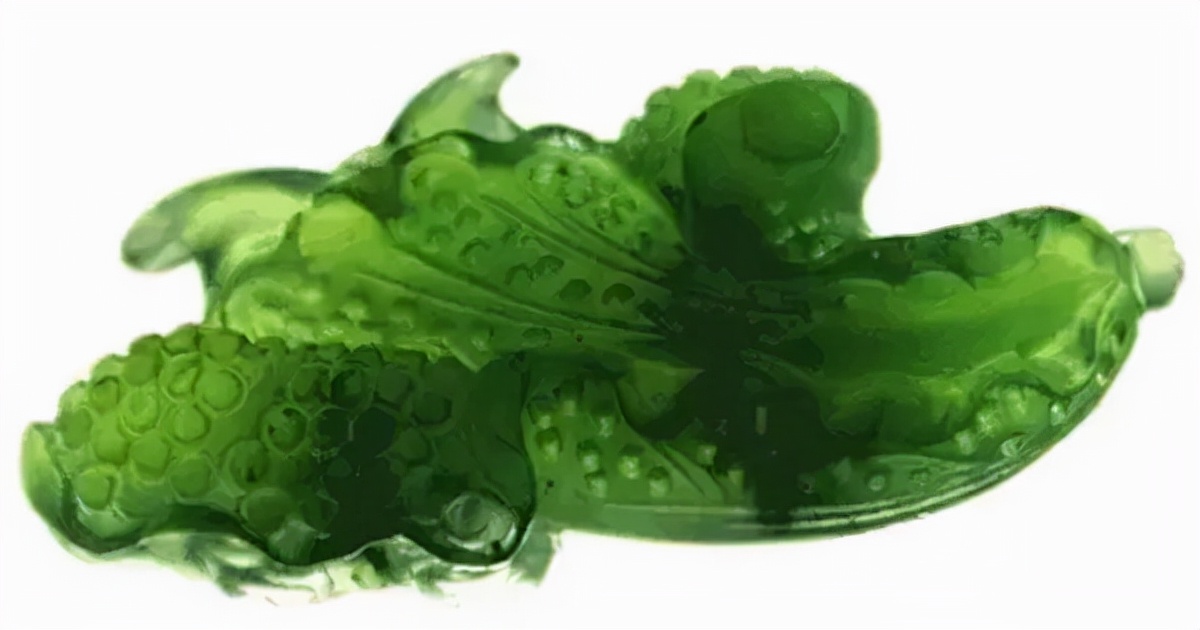 涨知识翡翠,碧玉科普