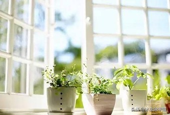 改善空气质量好的做法,改善空气质量有什么方法英文版