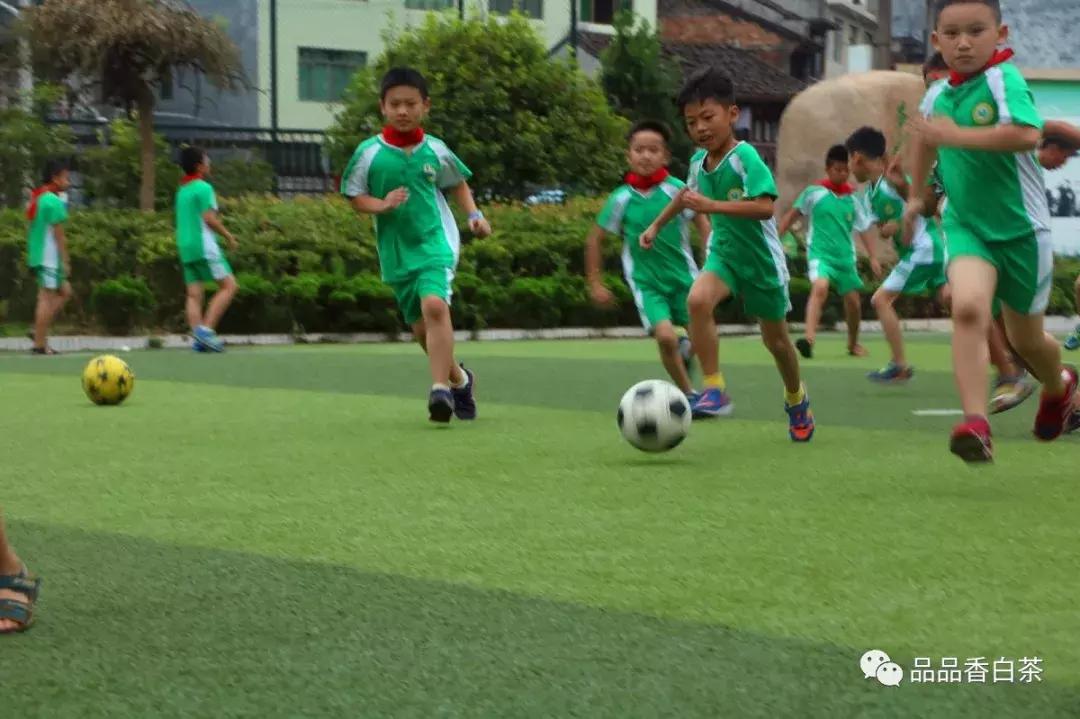 品品香有几个典藏,品品香是一线品牌吗