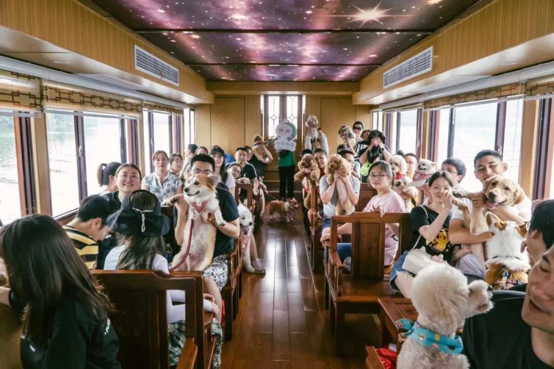 带着十一只狗狗去旅行,带着四只狗狗去旅行