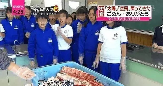日本教育小孩吃掉自己养的宠物,日本教育小孩吃自己养大的动物
