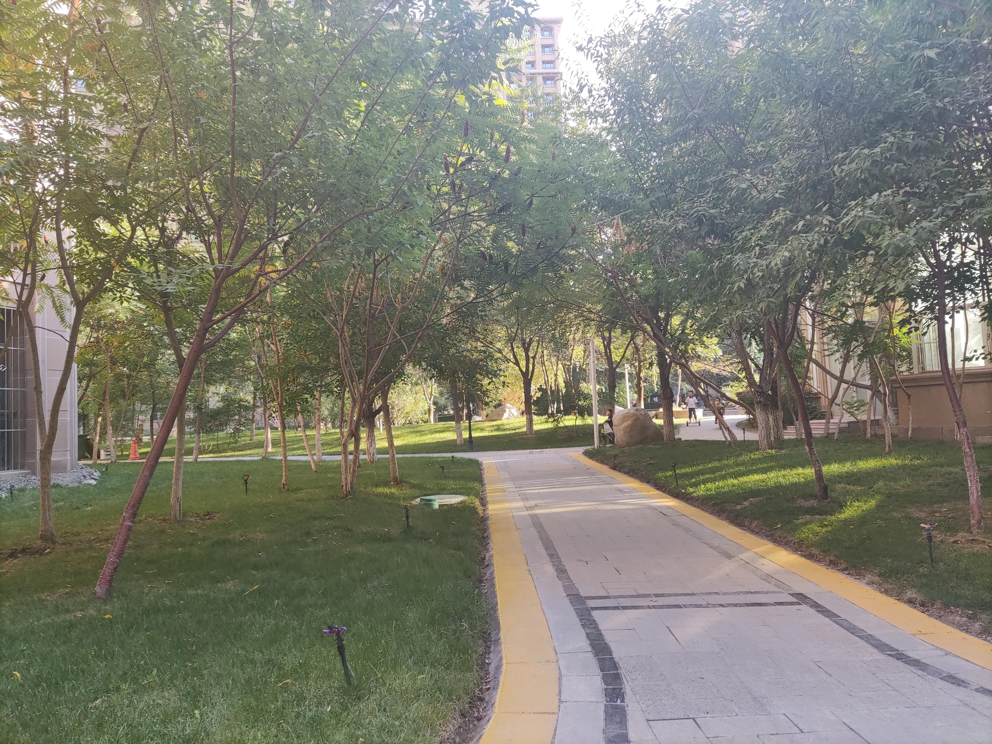 乌鲁木齐绿化最好楼盘,乌鲁木齐市绿化最好的街道视频