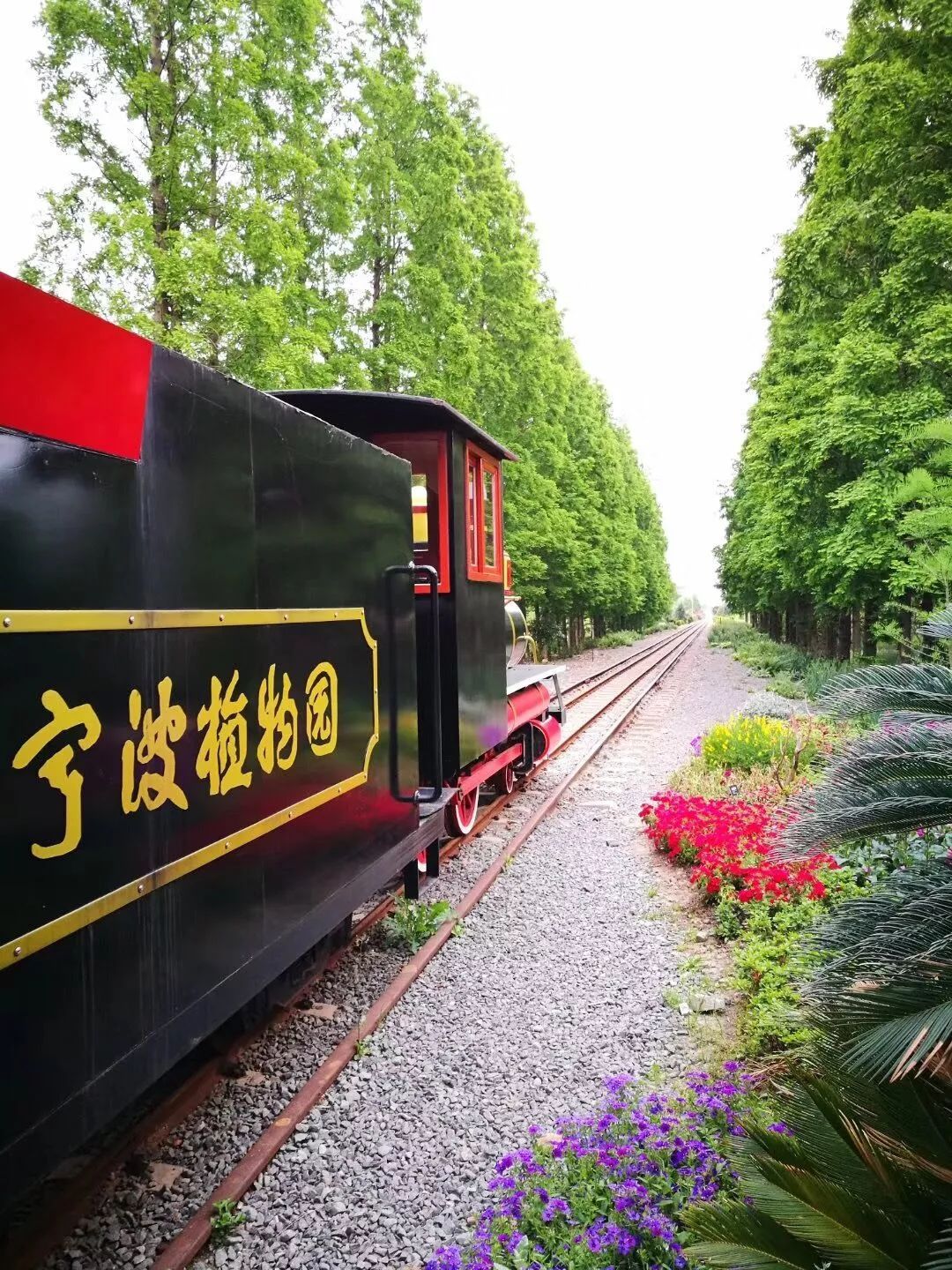 宁波横溪漫游必去景点,宁波必去的四大景点