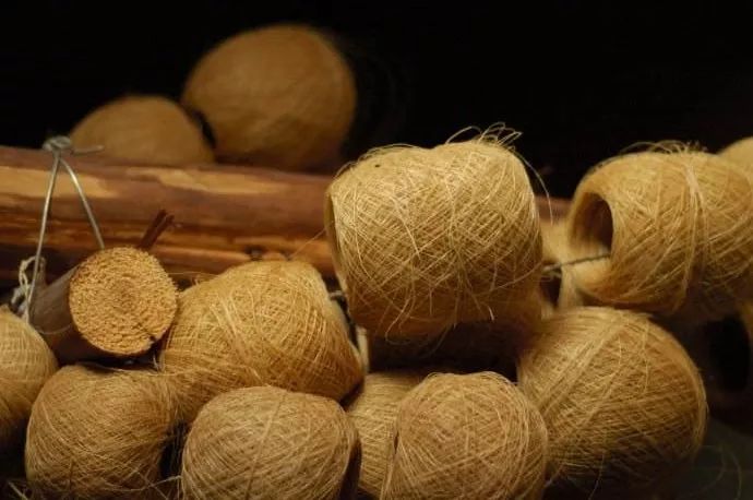 艺术家做人性实验,艺术家做手工