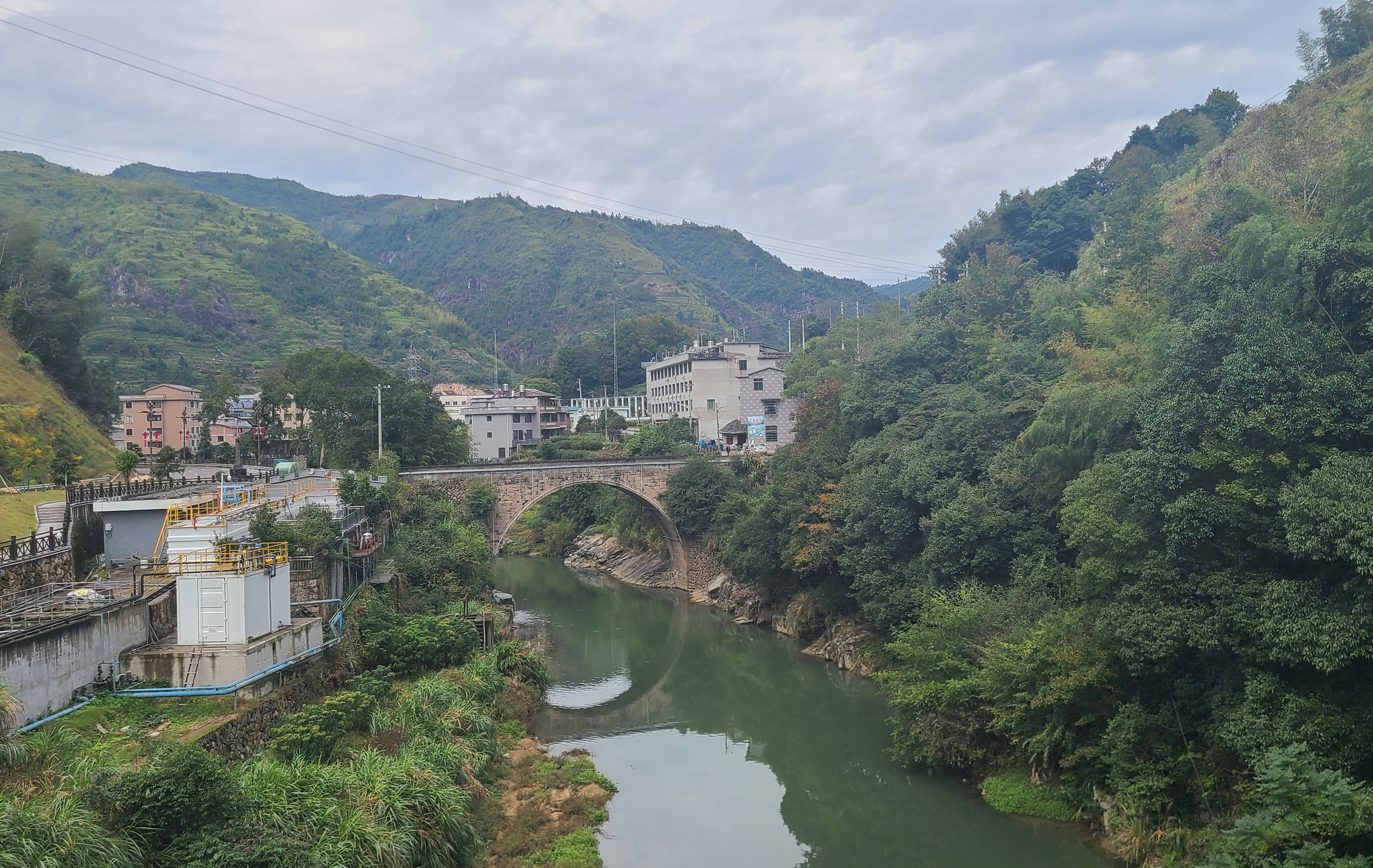 泰顺最出名的茶叶 (泰顺名茶有哪些)