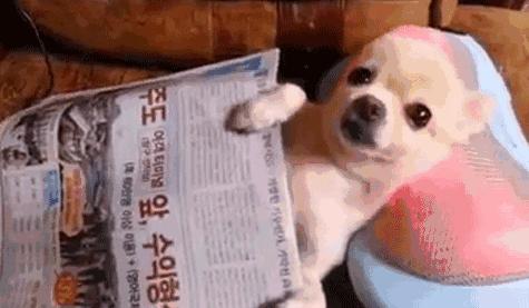 右眼皮跳右耳热吉凶,左右眼皮连续跳24小时吉凶预兆