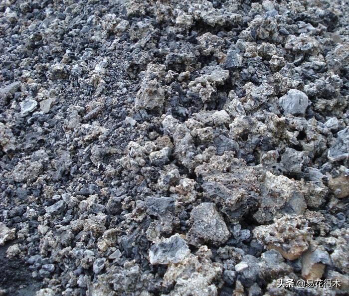 养花煤渣直接掺到土里吗,蜂窝煤渣养花好处多