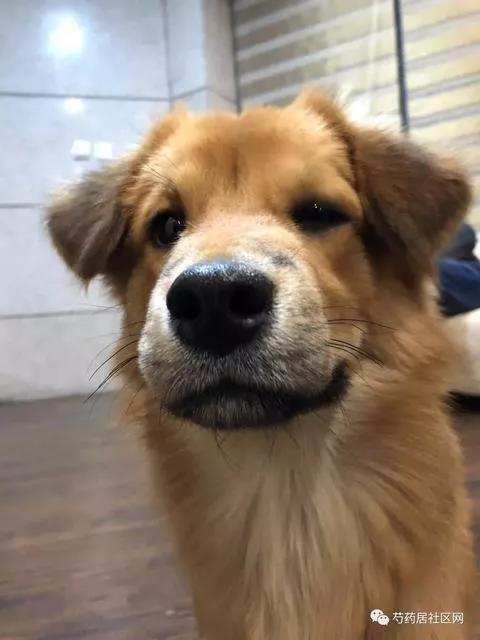 天堂真的很美么,天堂真的很美丽吗