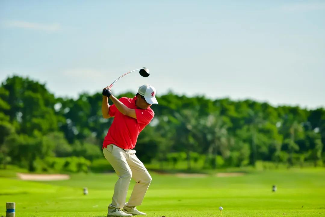 海狼队,海狼队加入三只羊了吗