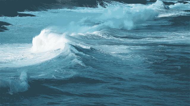 乐队的夏天完整版,音乐中的夏天