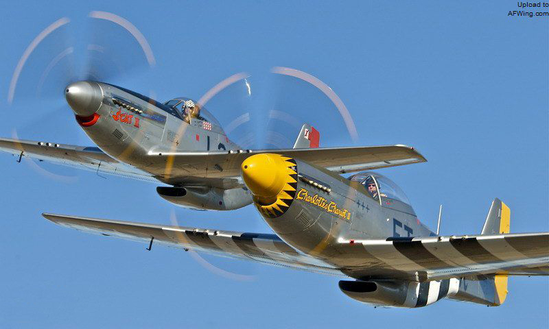 看过来,你的属相“藏”在哪种*器武**装备里?