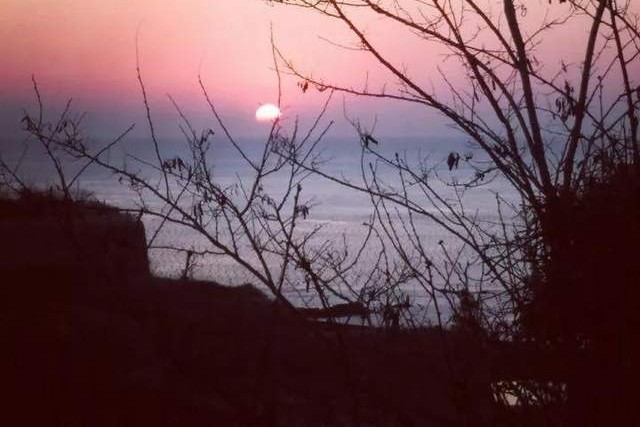 辽宁省高校（三十一）大连医科大学