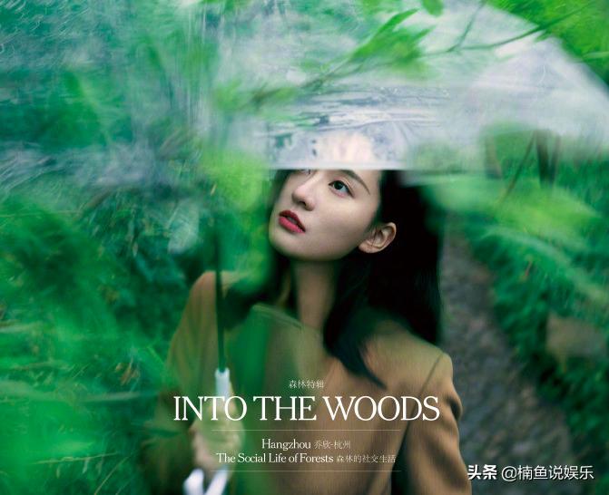 乔欣时尚潮流美图,乔欣清爽写真